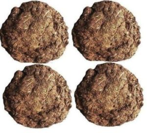 Handmade Cow Dung Cakes