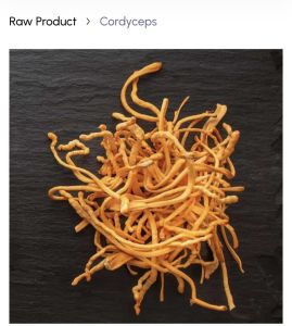 Cordyceps Militaris Mushroom