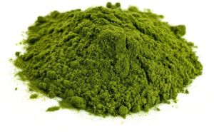 Dehydrated Neem Powder