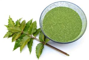 Medicinal Herbal Neem Powder