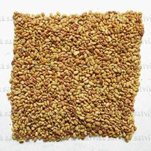 Alfalfa Grass Seeds