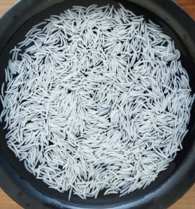 Cooked Basmati Rice