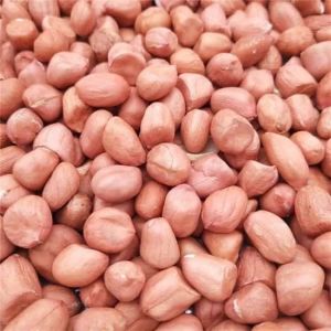 Bold Peanuts