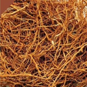Vettiver Roots