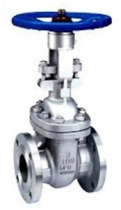 Globe Valve