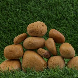 Divine Gold Wet Garden Pebbles