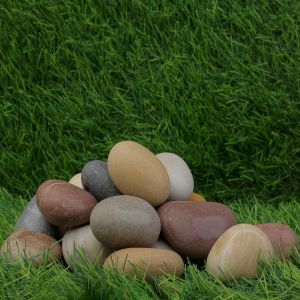 Multy Exotic Glossy Garden Pebbles