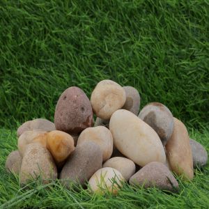 Palm Rock Dry Beach Pebbles