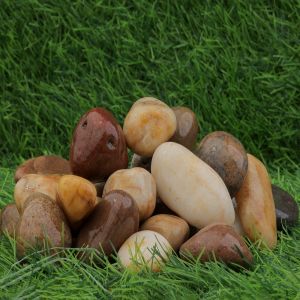 Palm Rock Wet Beach Pebbles