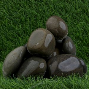 Pegion Wet Beach Pebbles
