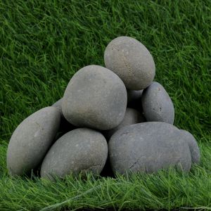 Pegion Dry Beach Pebbles