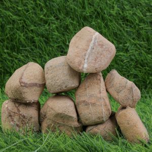 Rain Forest Golden Dry Garden Pebbles