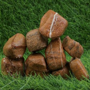 Rain Forest Golden Wet Garden Pebbles