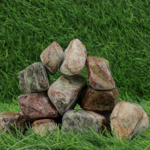 Rain Forest Green Wet Garden Pebbles