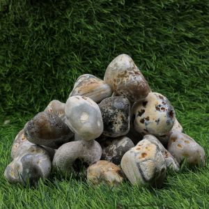 Sea Wet Garden Pebbles
