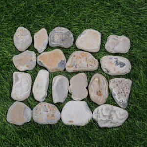 Tumbled Sea Dry Pebbles