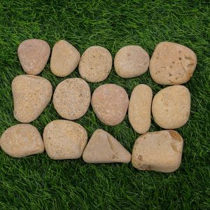 Tumbled Yellow Dry Pebbles