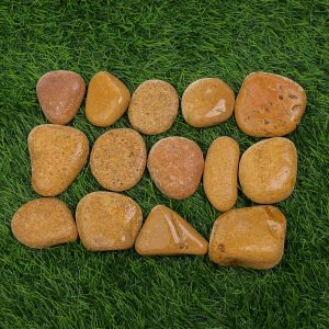 Tumbled Yellow Wet Pebbles