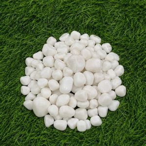 White Exotic Glossy Garden Pebbles