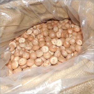 Export Grade White Arecanut