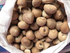 Natural Whole Arecanut