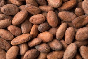 High Quality Cocoa Beans