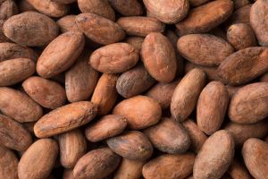 Natural Premium Cocoa Beans