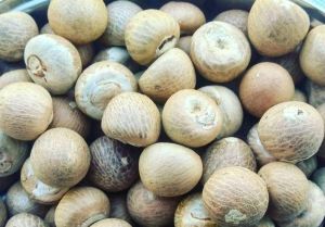 Natural White Betel Nut