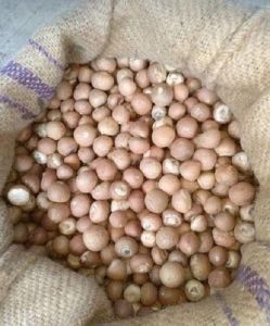 Natural Whole White Arecanut