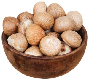 Premium White Arecanut Nuts