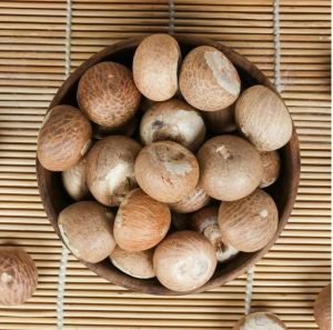 Processed White Arecanut Nuts