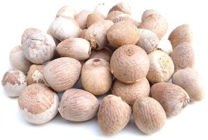 Selected White Betel Nuts