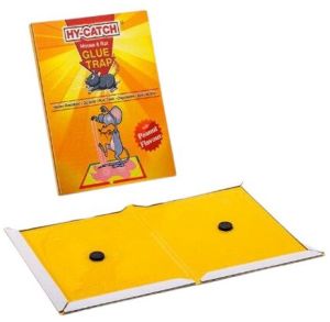 Regular Cardboard Rat Glue Trap