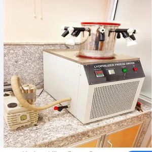 Lyophilizer Freeze Dryer