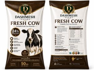 Dashmesh Cow Feeds