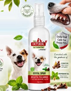 PET Mouth Freshner