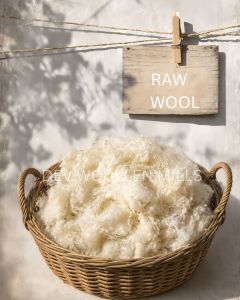 Premium Raw Merino Wool