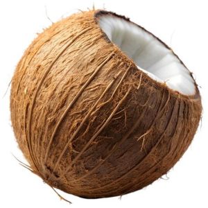 Brown Shell Semi Husk Coconut