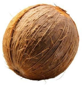 Farm Fresh Semi Husk Coconut