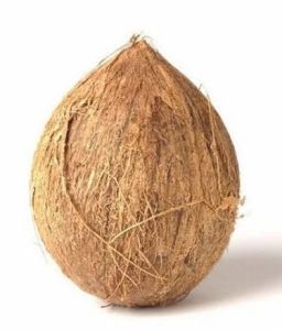 Hard Shell Semi Husk Coconut