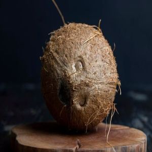 Selected Semi Husk Coconut