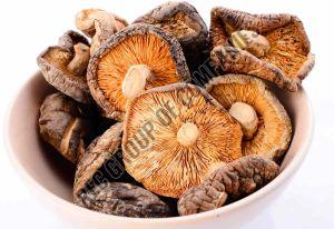 Dehydrated Mushrooms
