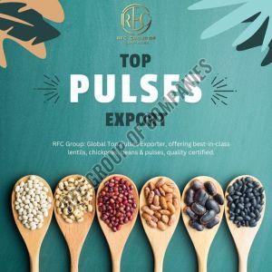 indian pulses