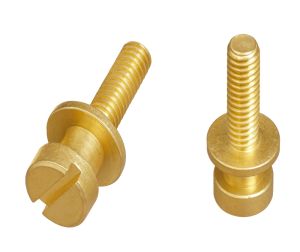 Brass Bolts