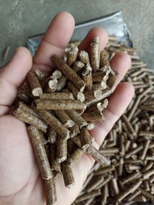 Biomass Bio Coal Pellets
