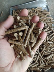 Biomass Bio Coal Pellets