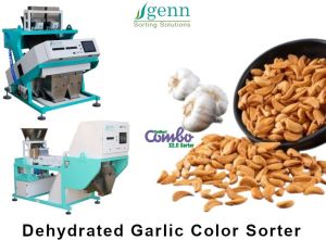 Dehydrated Garlic Color Sorter