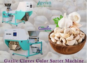 Garlic Gloves Color Sorter Machine