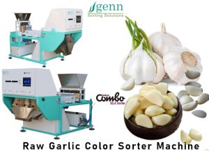 Raw Garlic Color Sorter