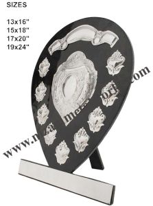 Black Mica Sports Shield